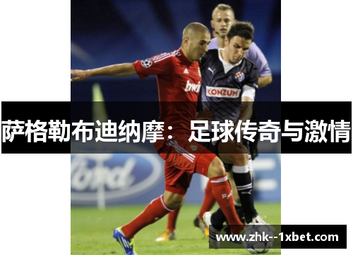 萨格勒布迪纳摩:足球传奇与激情 萨格勒布迪纳摩:足球传奇与激情